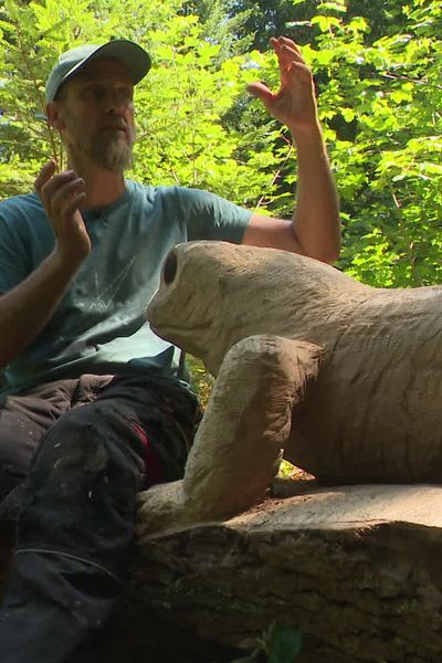 Laurent Schwoehrer redonne vie aux arbres abattus.