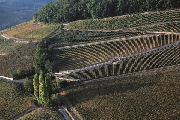 Des climats de la colline de Corton