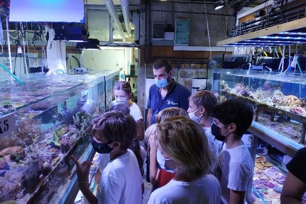 "Océano pour tous" permet aux enfants d'accéder aux coulisses du musée.