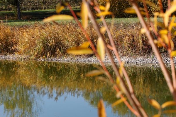 Cela fait trois que le niveau de la nappe phréatique est insuffisant en Picardie 