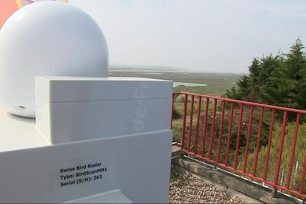 Le radar ornithologique destiné à la baie des Veys pourrait être comme celui installé dans le Pas-de-Calais