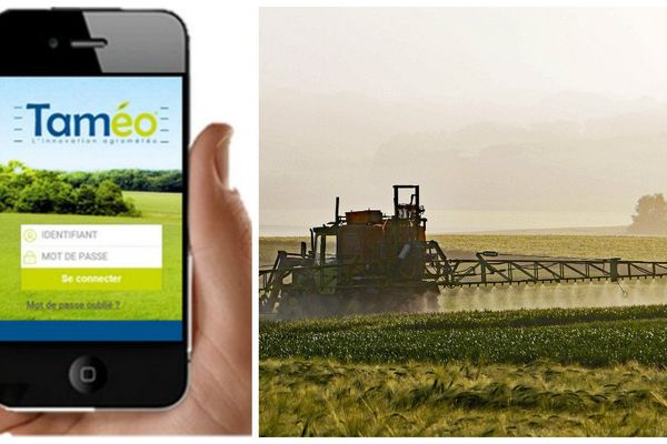 Taméo, une application développée par Météo France et Arvalis qui se veut un outil de conseil en temps réel pour les agriculteurs.