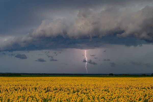 Voici les bons réflexes à adopter en cas d'orage.