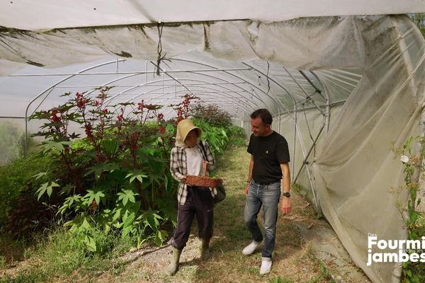 Anna Shoji et Cyril Hue dans les serres de la cultivatrice à Ligueil