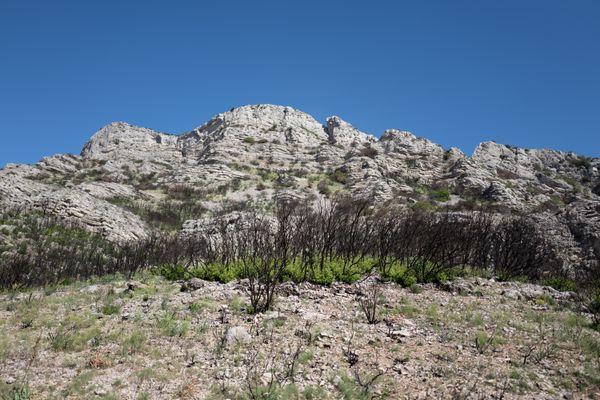 Le massif des Alpilles fait partie des 19 massifs fermés au public ce mardi 1er août.