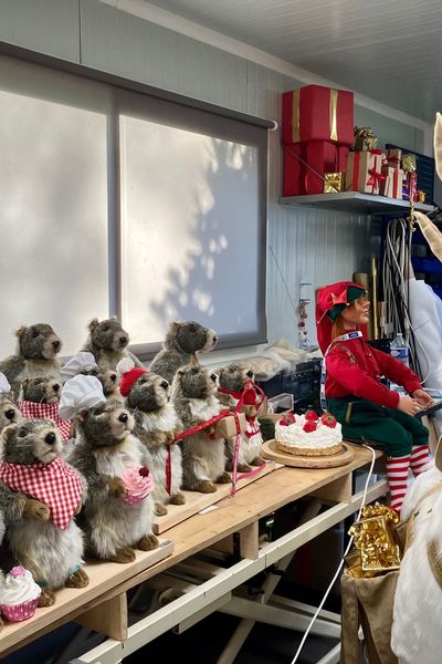 Cette année encore les marmottes ont la côte pour animer les vitrines de Noël.