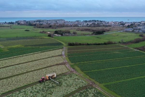 Début mars, le ministère de l’Agriculture a annoncé déployer un fonds d’urgence de 10 millions d’euros destiné aux exploitations en graves difficultés économiques et en risque de déconversion.