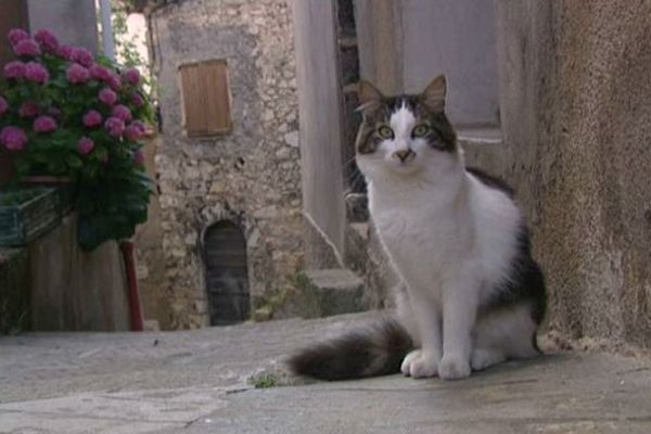 Le paisible village de Bairols retrouve des couleurs avec l'apparition d'une auberge-restaurant