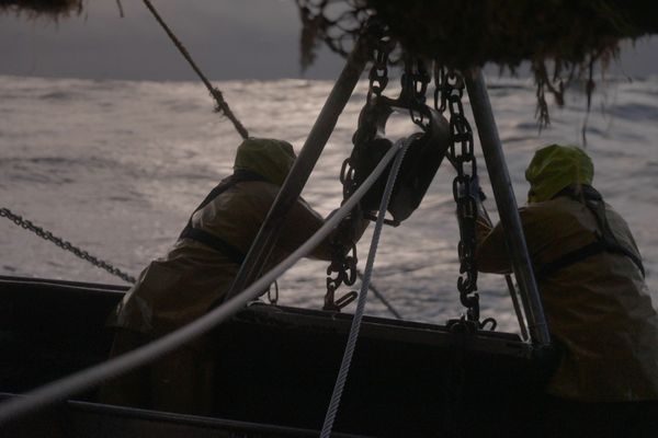 Pointée du doigt par de nombreuses associations environnementales, la pêche au chalut fait face à une multiplication des interdictions de pêche dans différentes zones comme le Golfe de Gascogne et les aires marines protégées.