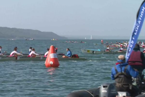 Depuis ce vendredi 26 mai, la rade de Brest accueille les 700 meilleurs pratiquants français d'aviron en mer.