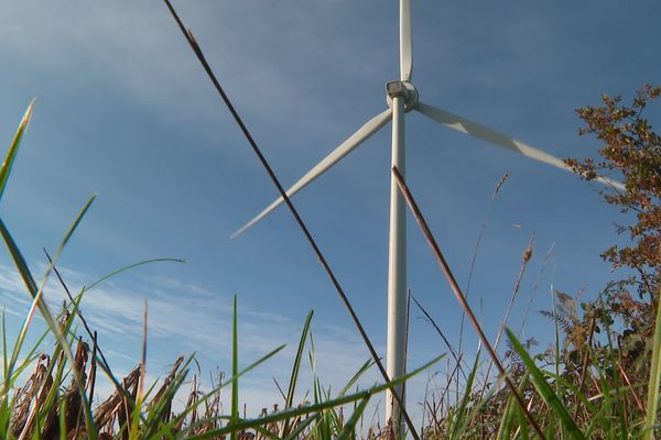 800 citoyens se sont regroupés en société coopérative pour lancer un projet de trois éoliennes