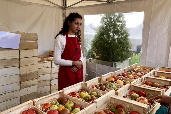 La 23ème édition du Festival de la tomate et des saveurs aura bien lieu cette année !