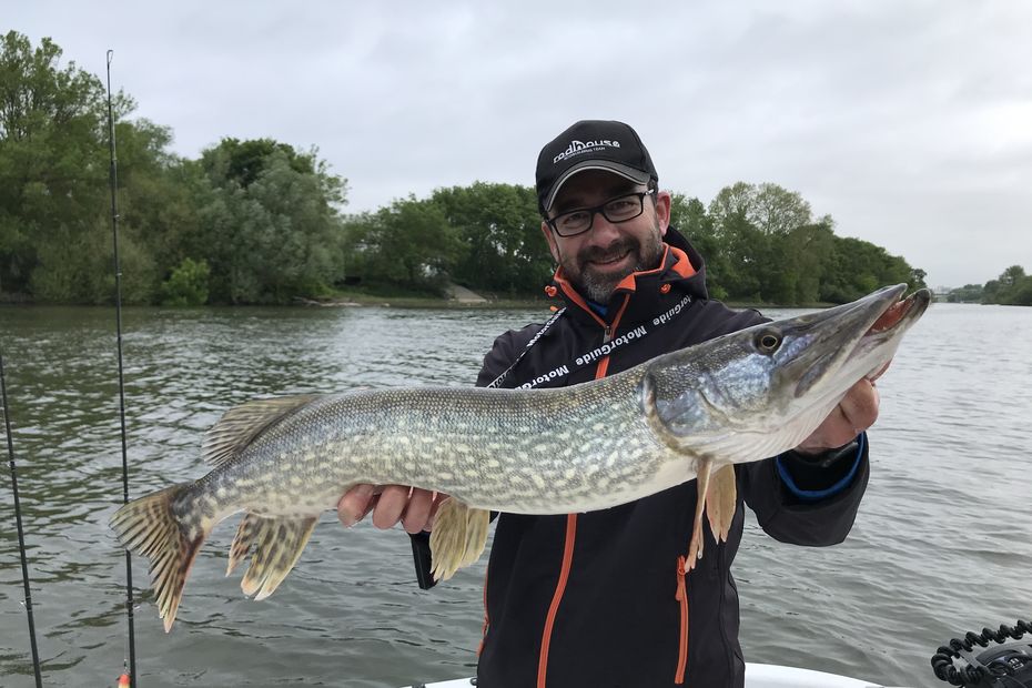  Zander and pike fishing opens sharply at 6 17 on Saturday 