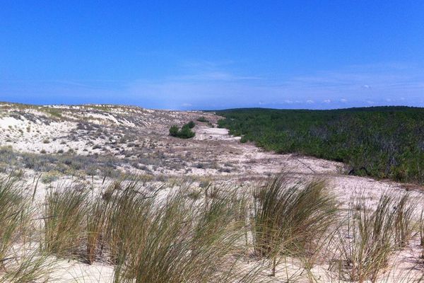 Les dunes de sable au Porge - Gironde - France