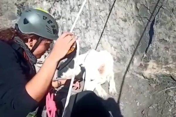 Lucile Lamirand a sauvé une chienne de 1 an, coincée au milieu des falaises de La Saulce.