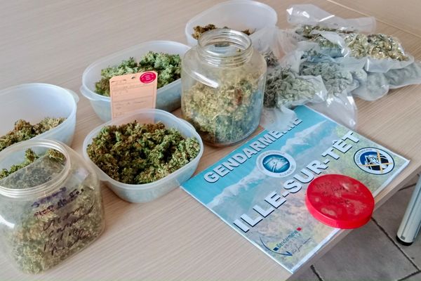 Environ 1,5 kg d'herbe de cannabis ont été saisis à l'intérieur du logement.