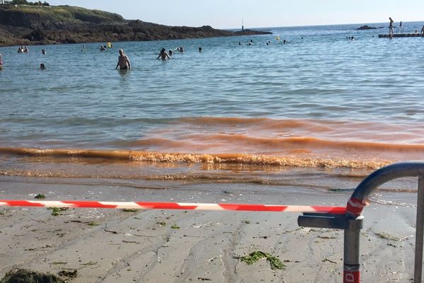Une bande d'eau de mer colorée orange à rouge sur la plage de Kerfany à Moëlan-sur-Mer (Finistère)