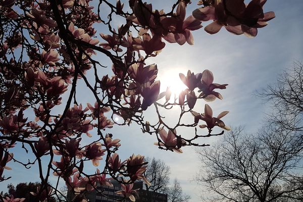 Le soleil nous accompagne toute cette journée de dimanche