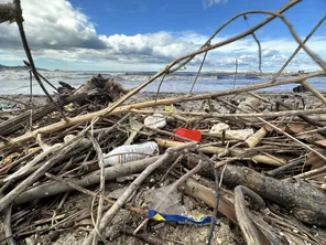 Aujourd'hui, 80 % des déchets plastiques retrouvés en mer proviennent de la terre et notamment des fleuves.