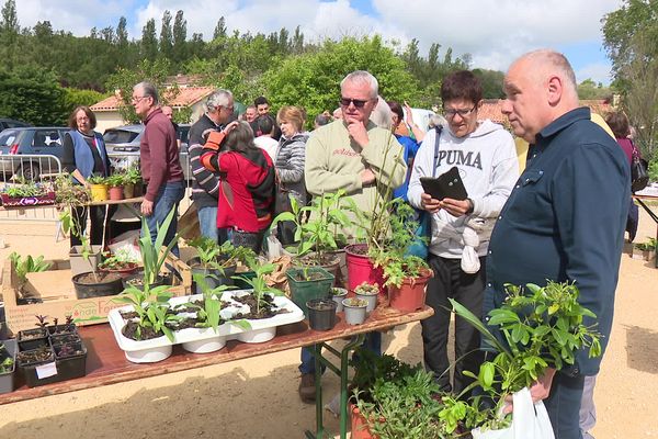 L'engouement pour les trocs de plante