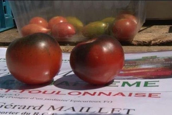 La tomate spéciale pour les supporters du RCT