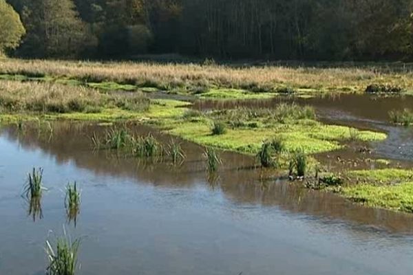 La Roselière, ou zone humide, du lac d'Aydat a été reconstruite là où la Veyre rejoint le lac. Là où elle existait il y a une quarantaine d'années.