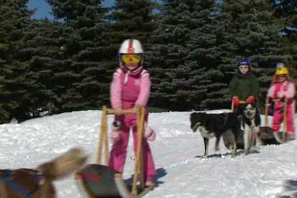 Les chiens de traîneaux : un loisir désormais accessible aux enfants à Font Romeu 