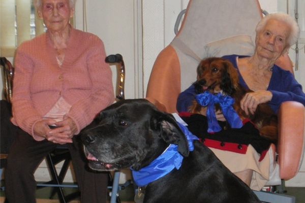 Deux chiens avec les résidents de l'EHPAD de l'hôpital Cimiez