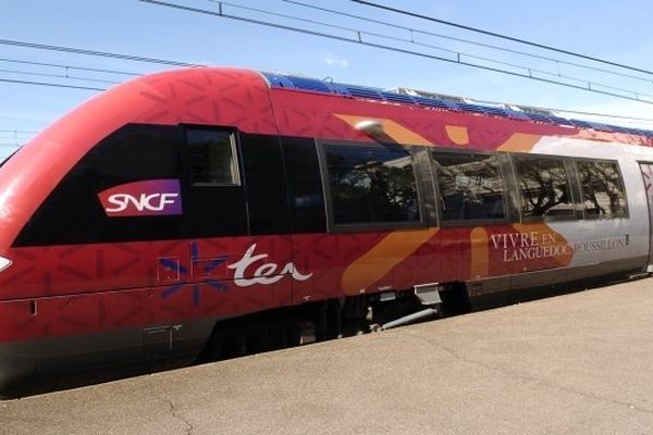 De nombreuses perturbations sont à prévoir sur le trafic des TER.