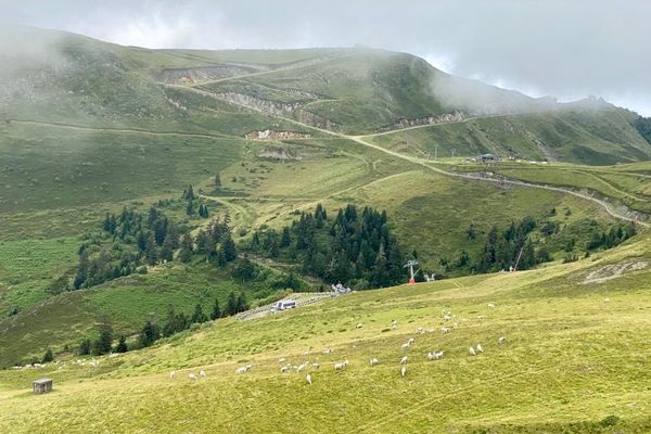 Une estive à Ustou en Ariège. Sur cette commune 4 ours se seraient approchés à plusieurs reprises d'un troupeau de brebis malgré la présence d'une brigade d'effaroucheurs