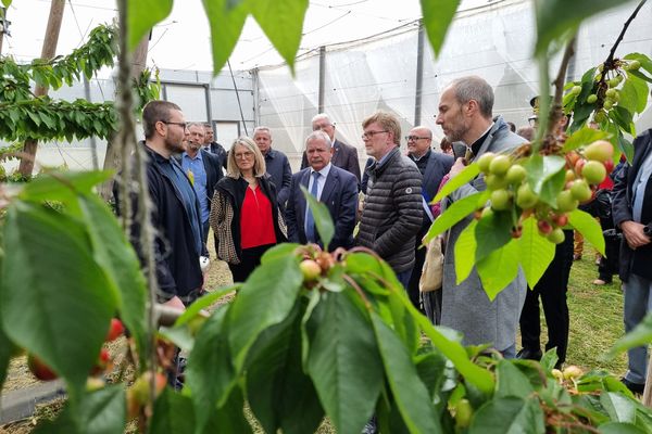 Le ministre de l'Agriculture découvre des projets expérimentaux dans le Gard.