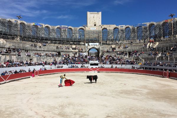 Le novillero français Adam Samira face à un jeune taureau à la Féria d'Arles, le 31 mars 2018