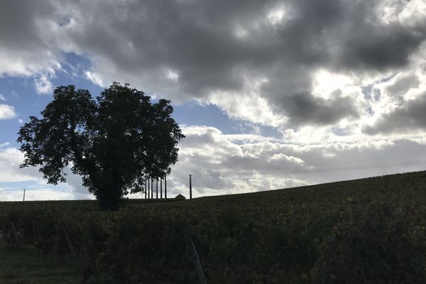 Un ciel nuageux aujourd'hui.