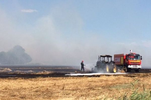 Un incendie a ravagé une dizaine d'hectares de chaume à Marsillargues, dans l'Hérault - 26 juin 2016