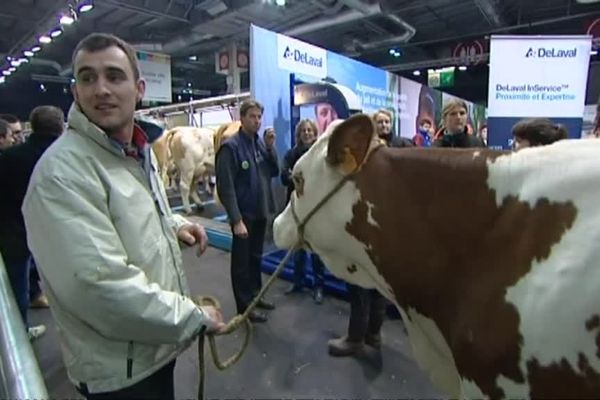 Cet éleveur est un habitué du salon de l'agriculture