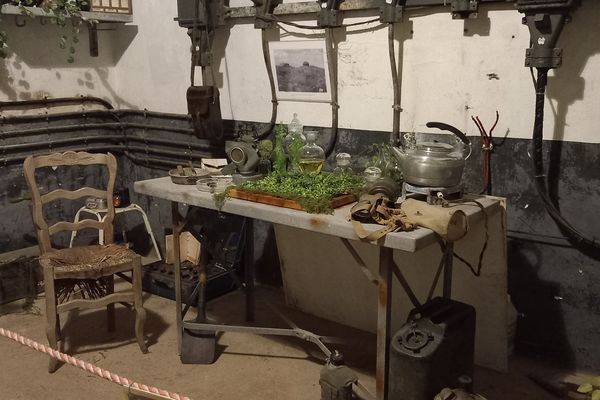 Le scénario de l'escape game met en scène un biologiste qui a créé une plante invasive menaçant de tout détruire.