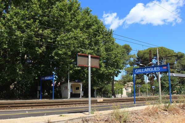 L'homme avait allumé volontairement un incendie à proximité de la voie SNCF à Gallargues-le-Montueux dans le Gard.