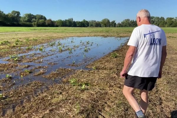 Cet agriculteur alsacien ne peut que constater ses pertes céréalières liées aux fortes intempéries.