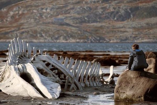 Leviathan, primé au festival de Cannes 2014 sera projeté