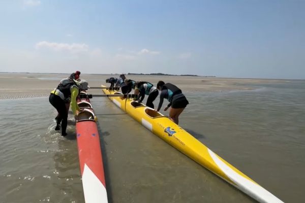 La Baie de Somme, terre d’accueil des phoques