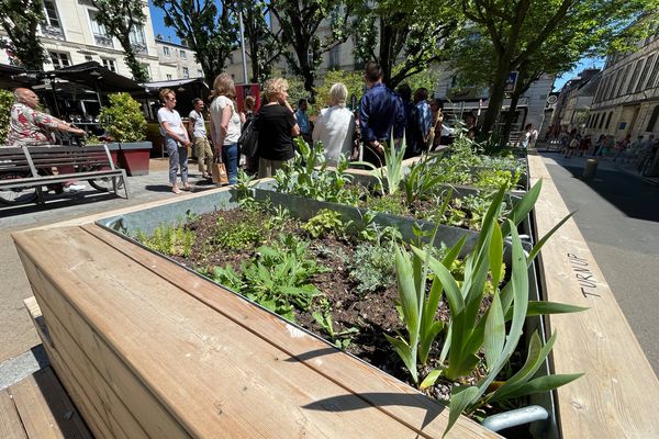 Place des Carmes à Rouen, la mairie inaugure, mardi 17 mai 2022, la création d'une "oasis urbaine", c'est-à-dire une présence végétale en ville.