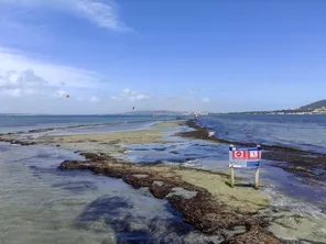 Lido de Thau (Hérault) - les panneaux d'interdiction de mouillage et de navigation sur les tocs - 2022.