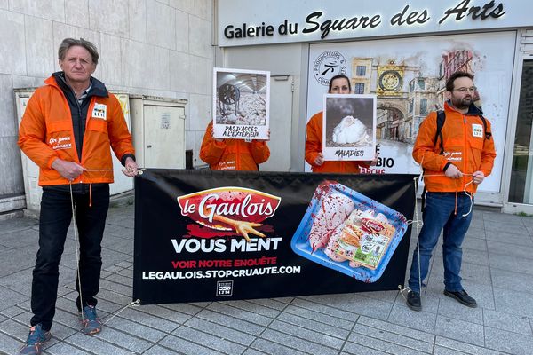 Des militants de l'association L214 devant un supermarché à Rouen. Ils dénoncent les conditions d'élevage des poulets d'une grande entreprise française.