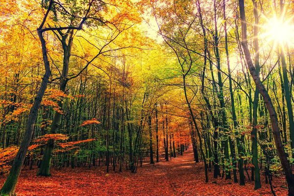 Le soleil l'emporte dans une ambiance bien douce pour la saison