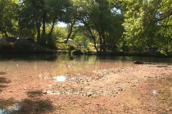 Le niveau de la rivière La Sorgue est anormalement bas en cette saison