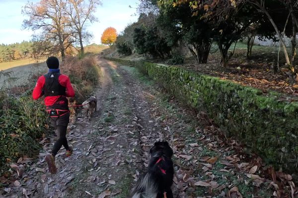 35 coureurs et leurs chiens pour le premier cani trail du massif des Monédières