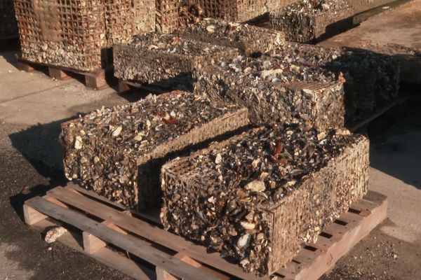 Des déchets de coquilles d'huîtres de l’étang de Thau près d’Agde  transformées en « béton naturel » pour lutter contre l’érosion du littoral.