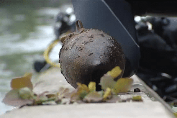 Bombe datant de la seconde guerre mondiale sortie de l'eau.