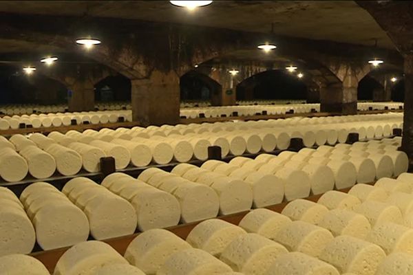 Le Roquefort souterrain s'étend sur 2 km.