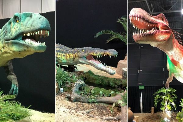 L'exposition "Sur les traces des dinosaures" est l'animation phare de l'édition 2019 de la Foire de Grenoble